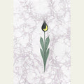 Mor Desenli Siyah Lale Ebru